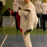 Sverige 2008