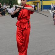 Cēsis2011