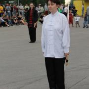 Cēsis2011